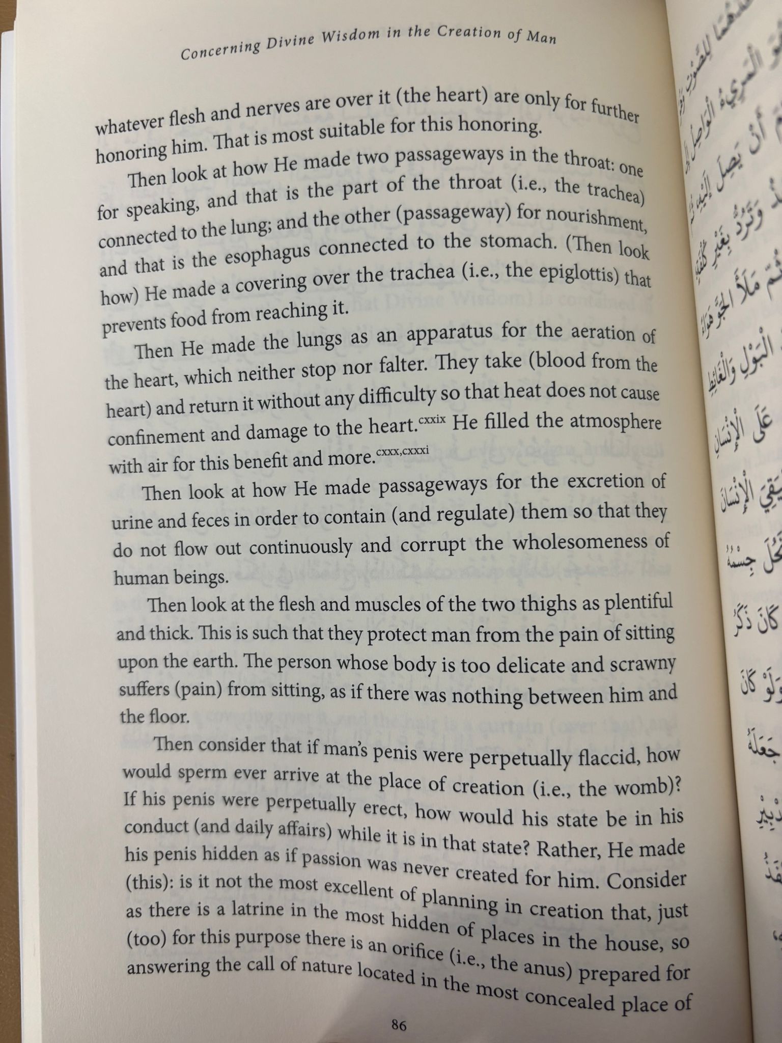 Concerning Divine Wisdom in the Creation of Man